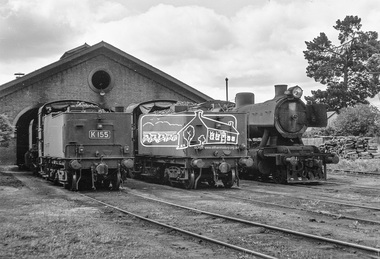 Photograph, Steam locomotives K-155, K-173 and J-511 outside the locomotive workshop, Echuca Railway Station, c.October 1962, 1962c