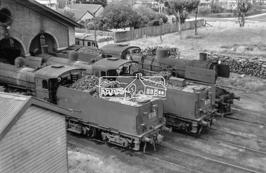 Photograph, Steam locomotives K-155, K-173 and J-511 outside the locomotive workshop, Echuca Railway Station, c.October 1962, 1962c