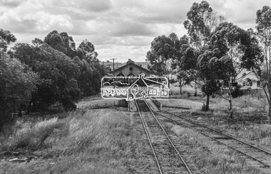 Photograph, Steam locomotives K-155, K-173 and J-511 outside the locomotive workshop, Echuca Railway Station, c.October 1962, 1962c