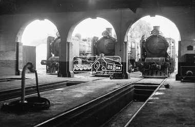 Photograph, Steam locomotives K-175, K-155 and K-182 outside the locomotive workshop, Echuca Railway Station, c.1962, 1962c