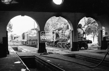 Photograph, Steam locomotive D3-677 and Diesel locomotive T-328 outside the locomotive shed, Echuca Railway Station, October 1962, 1962