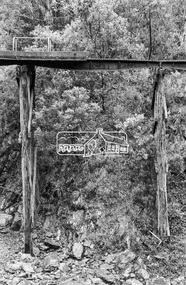 Photograph, Walhalla narrow gauge railway trestle bridge near Echuca, c.1962, 1962c