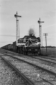 Photograph, Steam locomotive R-727 near Echuca, 1962