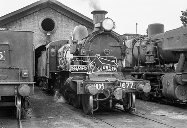 Photograph, Steam locomotives K-155, D3-677 and J-511 ouside the locomotive shed, Echuca Railway Station, November 1962, 1962