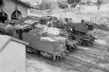 Photograph, Steam locomotives K-155, D3-677 and J-511 ouside the locomotive shed, Echuca Railway Station, November 1962, 1962