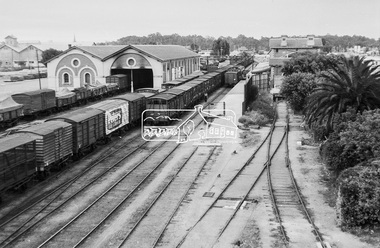 Photograph, Echuca Railway Station, c.November 1962, 1962