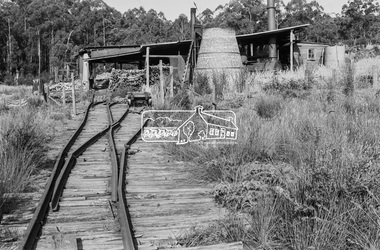 Photograph, Timber mill seasoning operations near Big Pats Creek, East Warburton, c.November 1962, 1962