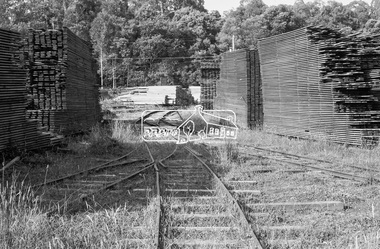 Photograph, Timber mill seasoning operations near Big Pats Creek, East Warburton, c.November 1962, 1962
