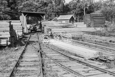 Photograph, Timber mill seasoning operations near Big Pats Creek, East Warburton, c.November 1962, 1962
