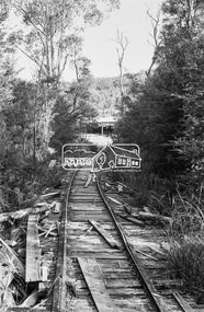 Photograph, Timber mill seasoning operations near Big Pats Creek, East Warburton, c.November 1962, 1962