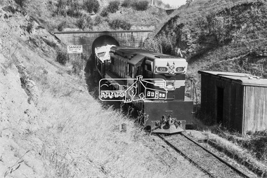 Photograph, D-class Diesel Locomotive D-1, Fyansford Cement Works Railway, November 1962, 1962