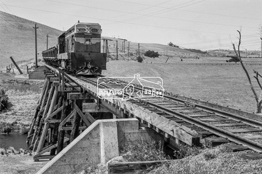 Photograph, D-class Diesel Locomotive D-1 crossing the railway trestle bridge over the Mooroobool River, Fyansford Cement Works Railway, November 1962, 1962