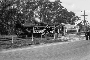 Photograph, Steam locomotive J-521 with the Royal Train on the Wharf Spur line during a visit to Echuca by the new Governor of Victoria, His Excellency Sir Rohan Delacombe, c.May 1963
