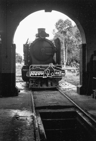 Photograph, Steam locomotive K-185 outside the locomotive workshop, Echuca Railway Station, c.August 1963, 1963