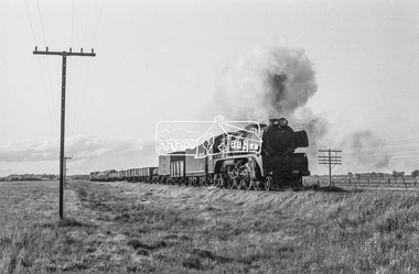 Photograph, Steam locomotive R-706 hauling an upgoods train departing Echuca and heading south, August 1963, 1963