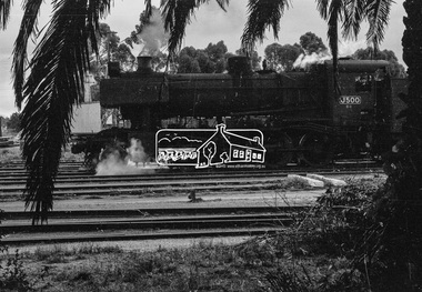 Photograph, Steam locomotive J-500 at Echuca Railway Station, c.August 1963, 1963