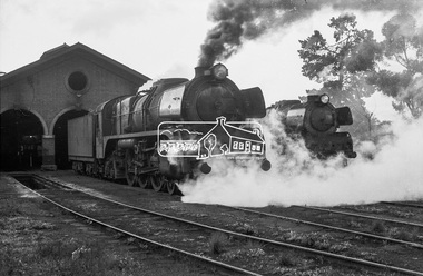 Photograph, R-class steam locomotives R-704 and R-727 outside the locomotive shed, Echuca Railway Station, August 1963, 1963