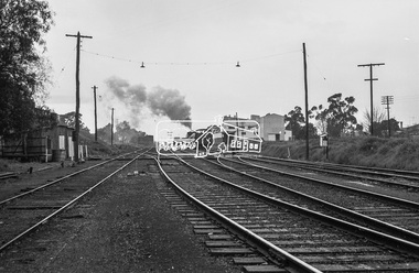 Photograph, Goods train, Echuca Railway Station yards, c.August 1963, 1963