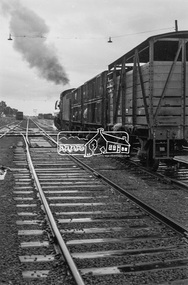 Photograph, Livestock goods train, Echuca Railway Station, c.August 1963, 1963