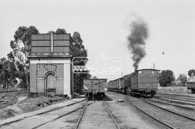 Photograph, Goods trains at Echuca Railway Station, c.November 1963, 1963