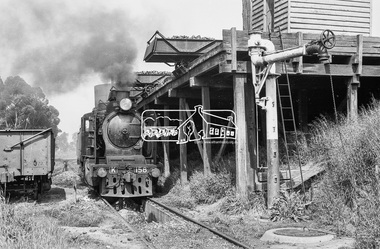 Photograph, Steam locomotive K-158 at the coal hopper, Echuca Railway Station, November 1963, 1963