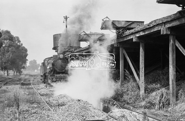 Photograph, Steam locomotive J-500 at the coal hopper, Echuca Railway Station, November 1963, 1963