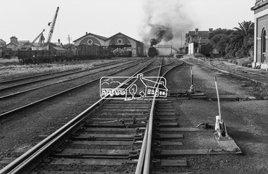 Photograph, Steam locomotive R-711, Echuca Railway Station, November 1963, 1963