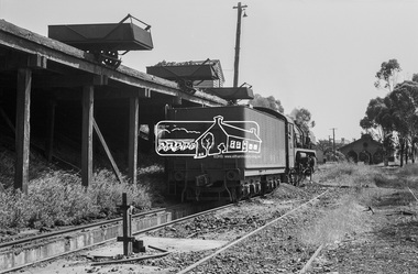 Photograph, Steam locomotive R-727 at the coal hopper, Echuca Railway Station, November 1963, 1963