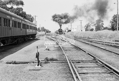 Photograph, Steam locomotive J-526, Echuca Railway Station, November 1963, 1963