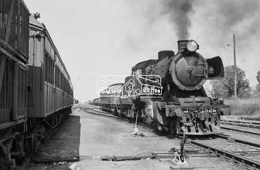 Photograph, Steam locomotive J-526, Echuca Railway Station, November 1963, 1963