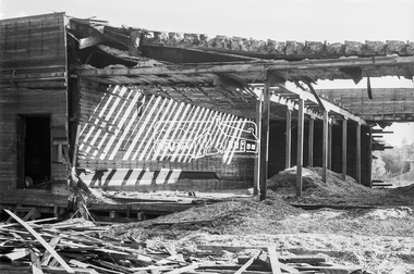 Photograph, Timber salvage during demolition of former Templestowe Cool Store, c.November 1974, November 1974