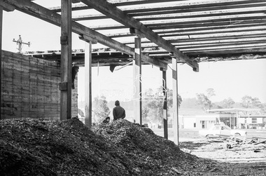 Photograph, Timber salvage during demolition of former Templestowe Cool Store, c.November 1974, November 1974