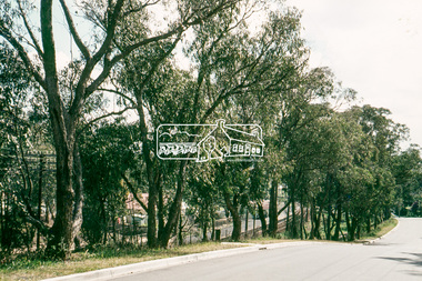 Photograph, Trees on nature strip, Mayona Road, Montmorency, 1 July 1972, 1972