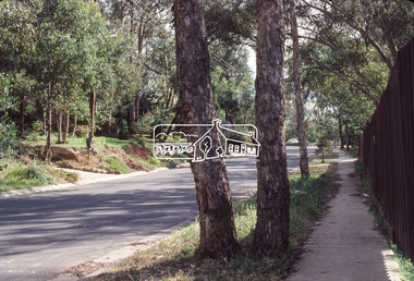 Photograph, Baldwin Avenue, Montmorency, Oct. 1980