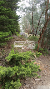 Photograph, Baldwin Avenue, Montmorency viewed from Sherbourne Road, 13 November 2019, 13/11/2019