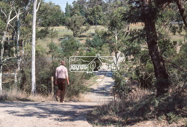 Photograph, Looking down Riverhill Drive from intersection of Rosehill Road, Lower Plenty, c.March 1981, 1981