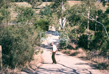 Photograph, Width and stand of construction, Riverhill Drive, Lower Plenty, c.March 1981, 1981