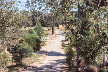 Photograph, Curvilinear design, Riverhill Drive, Lower Plenty, c.March 1981, 1981