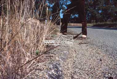 Photograph, Rollover kerb sprayed and Lilydale topped, Riverhill Drive, Lower Plenty, c.March 1981, 1981