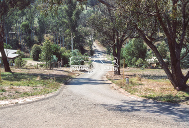 Photograph, Riverhill Drive from T-bowl to Rosehill Road, Lower Plenty, c.March 1981, 1981