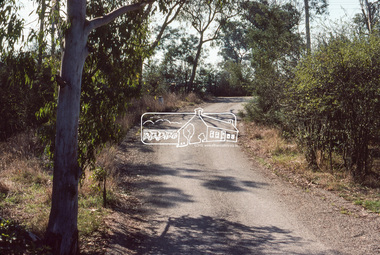 Photograph, Riverhill Drive leadup to Rosehill Road, Lower Plenty, c.March 1981, 1981