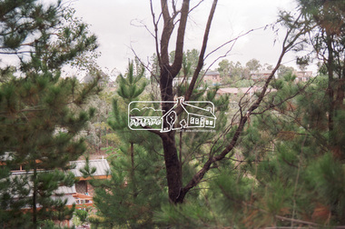 Negative - Photograph, Maroondah Aqueduct Trail, Research, 1991
