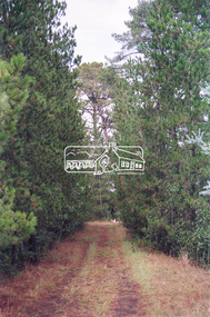Negative - Photograph, Maroondah Aqueduct Trail south of Main Road, Research, 1991