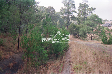 Negative - Photograph, Maroondah Aqueduct Trail south of Main Road, Research, 1991