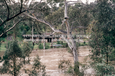 Slide, Floodwater, rear of Antoinette Boulevard from Eltham Lower Park, November 1971, 1971