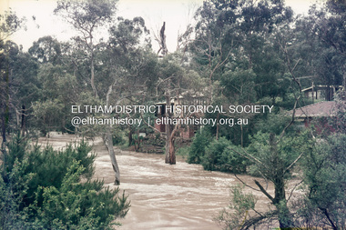 Slide, Floodwater, rear of Antoinette Boulevard from Eltham Lower Park, November 1971, 1971