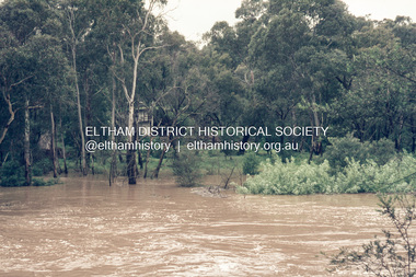 Slide, Floodwater, rear of Antoinette Boulevard from Eltham Lower Park, November 1971, 1971