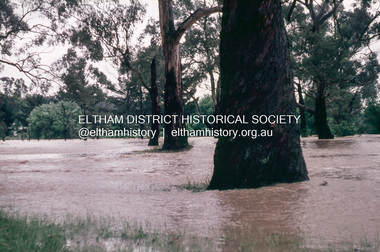 Slide, Floodwater, Wingrove Park, Eltham, November 1971, 1971