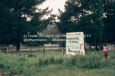 Slide, Floodwater, Ely Street, east of Falkiner Street, Eltham, November 1971, 1971