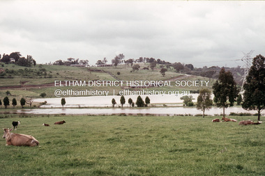 Slide, Floodwater, looking north to Montpelier Drive, Lower Plenty, November 1971, 1971